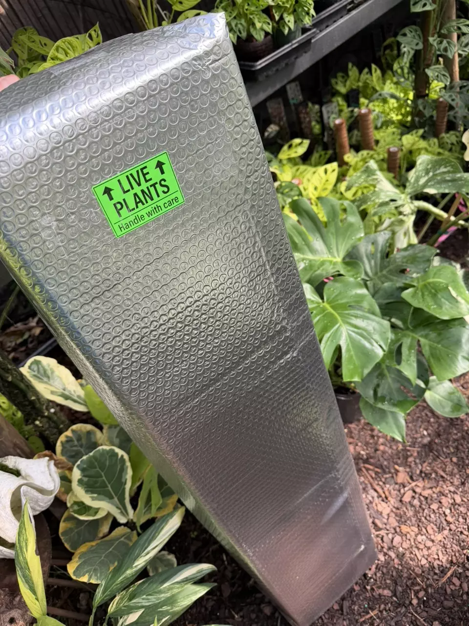 Insulation winter protection LARGE thumbnail