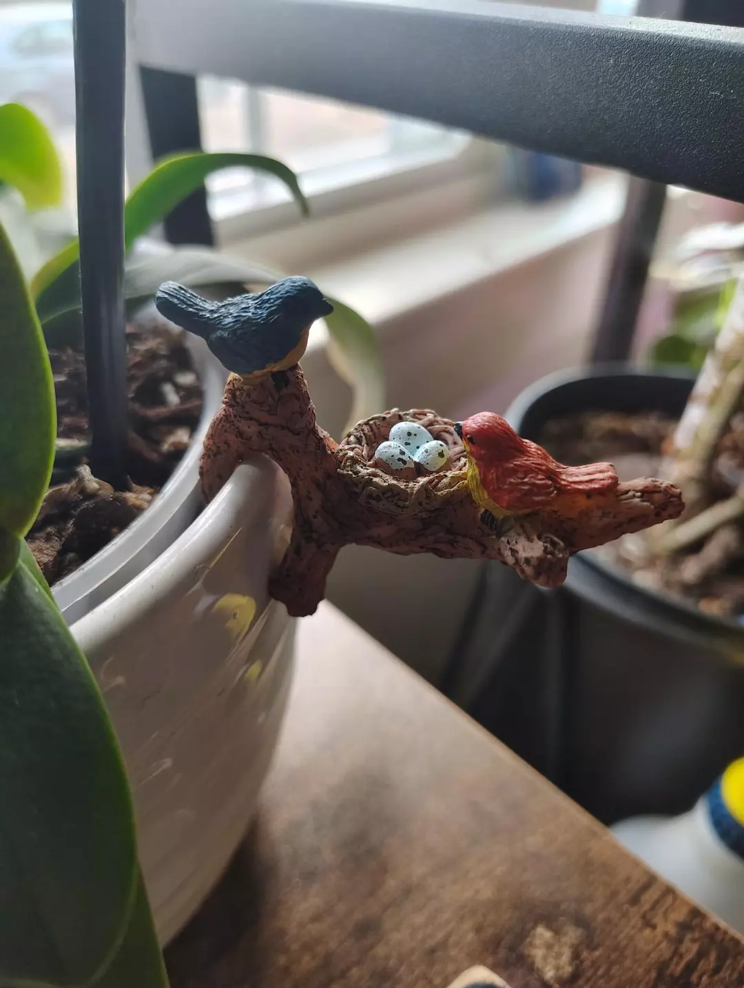 Love Birds Nest Pot Pal thumbnail