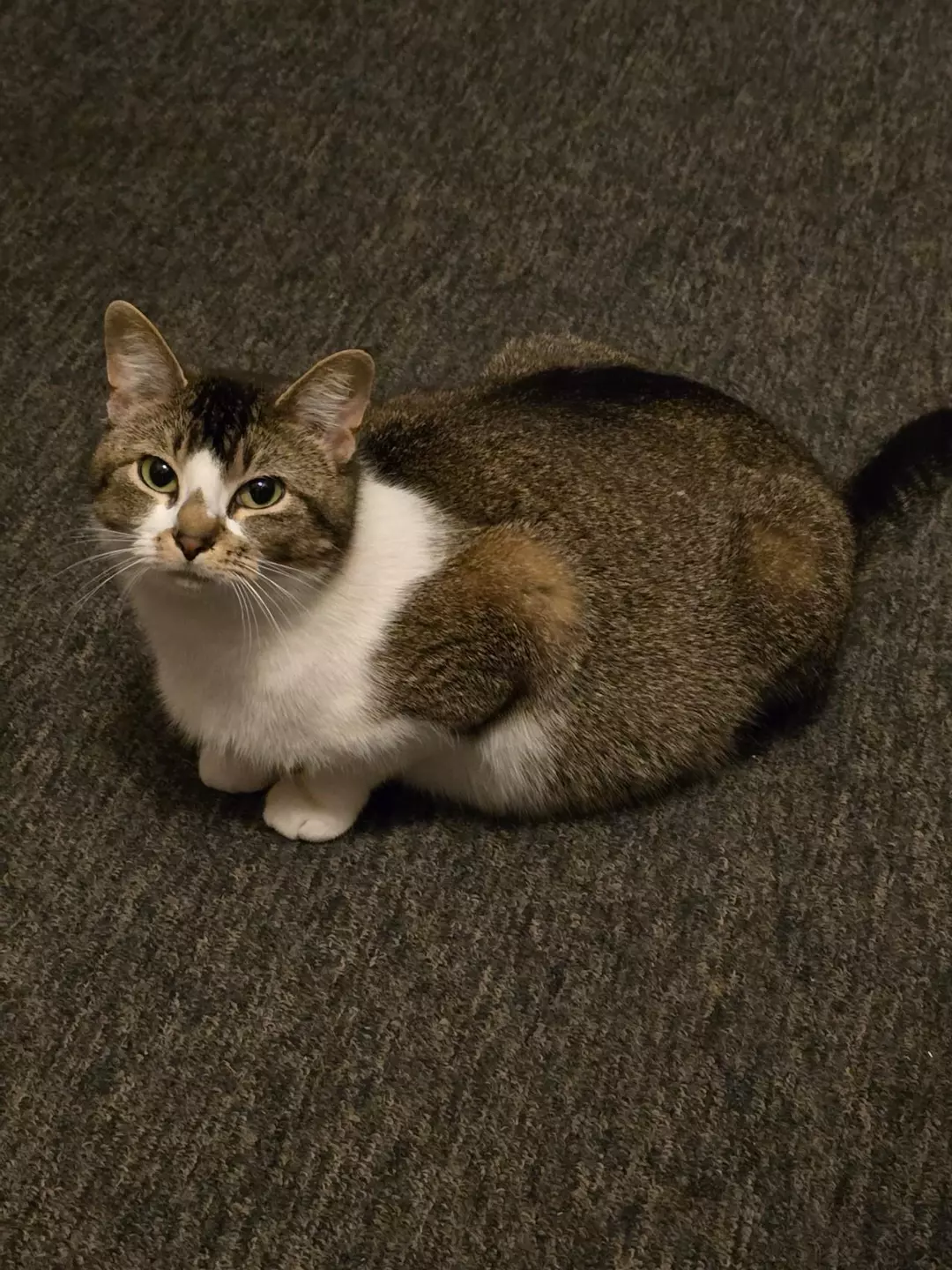 Next day air quote thumbnail