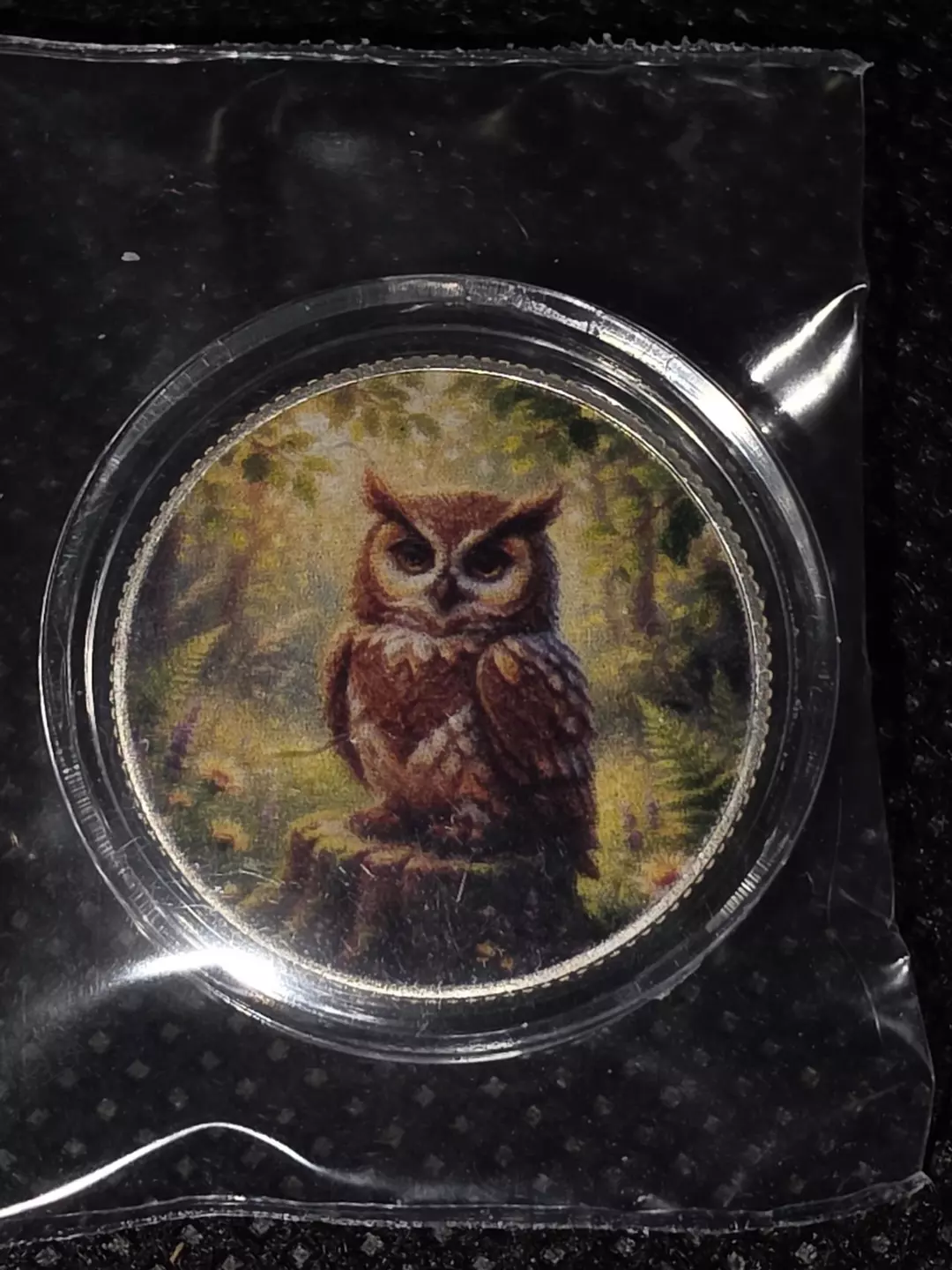 Hayleybug 1/10th oz Wisdom Rooted Owl Silver Round thumbnail