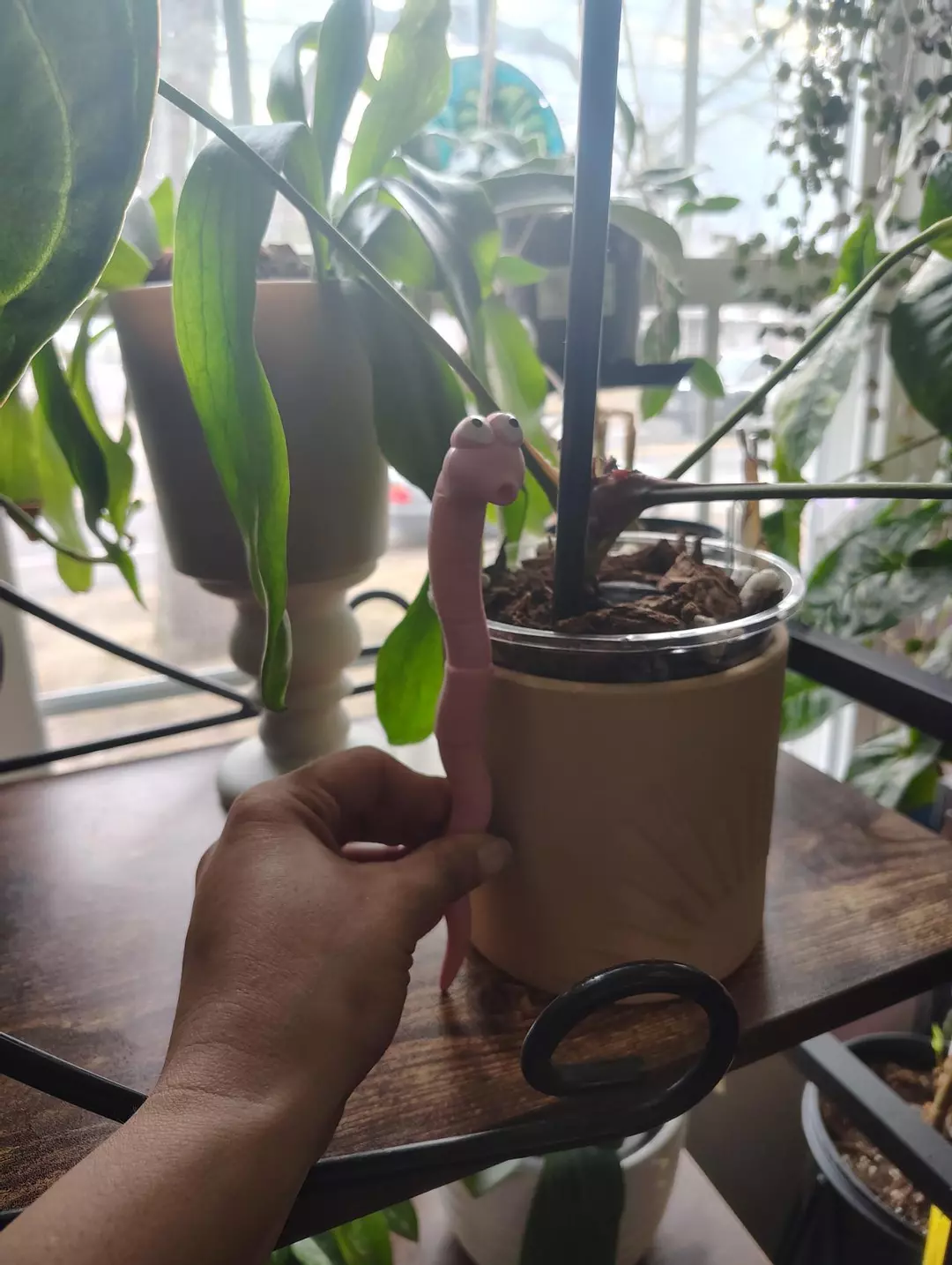 Large Worm Stake Pot Pal thumbnail