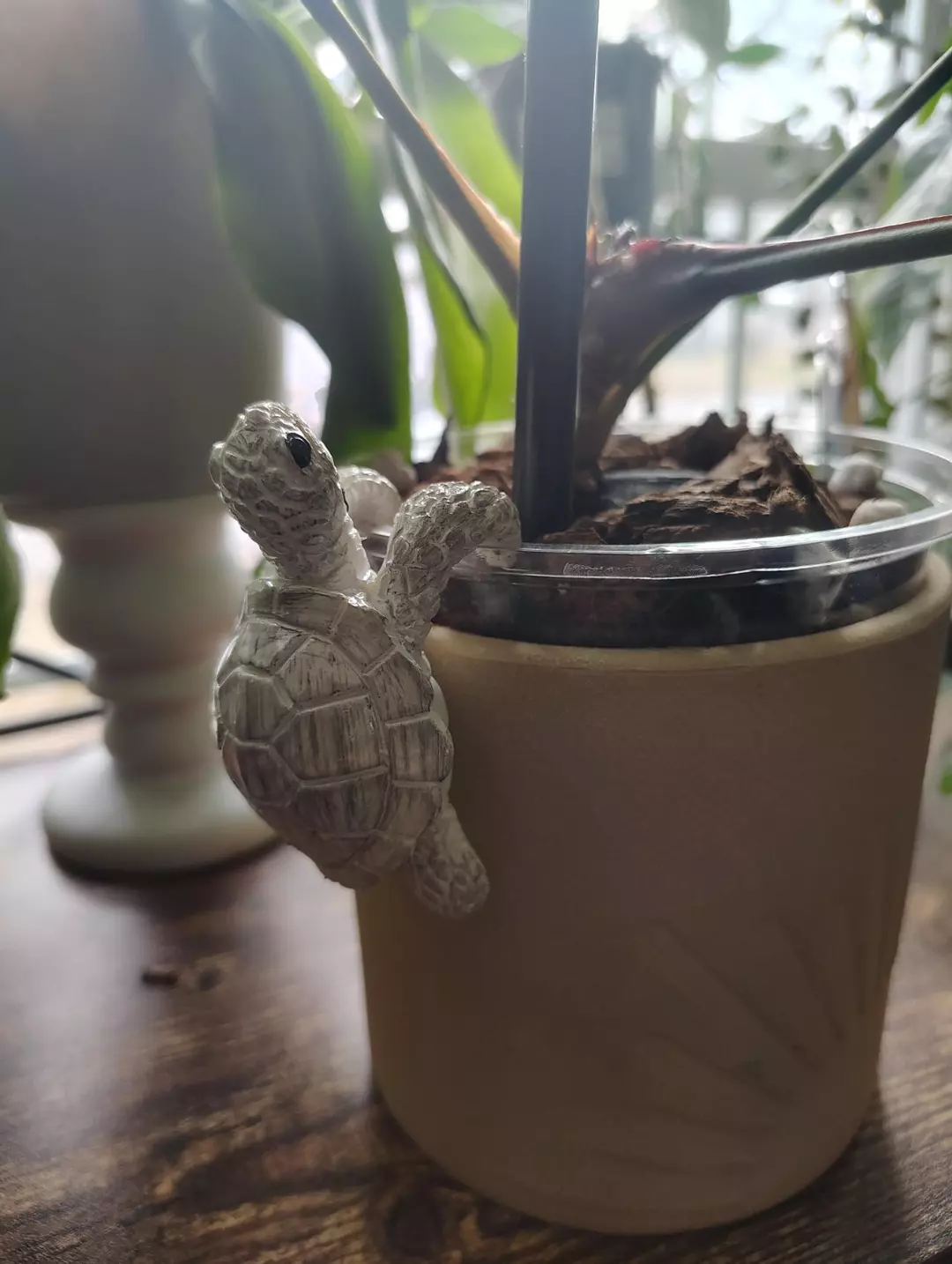 Grey Sea Turtle Pot Pal thumbnail