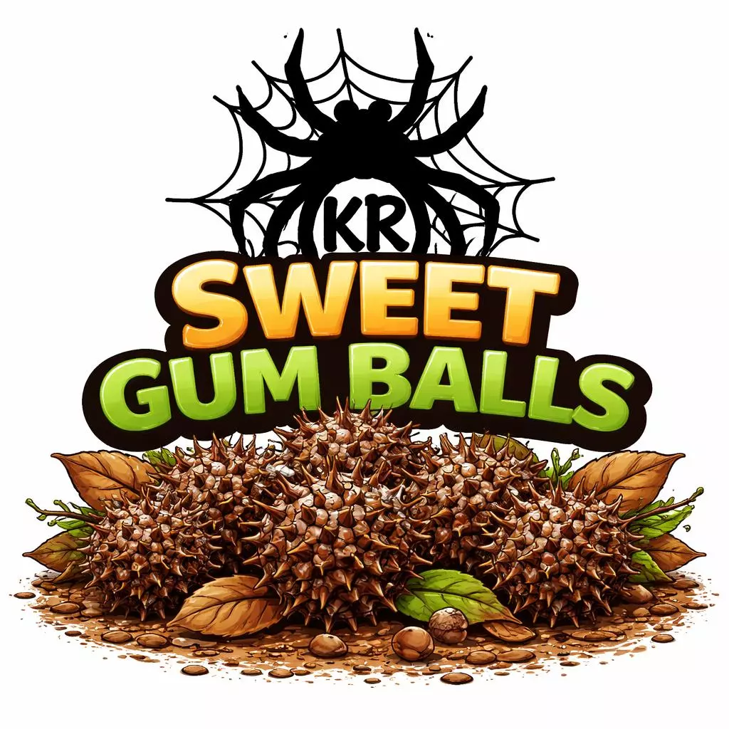 Sweet Gum Balls 6ct thumbnail