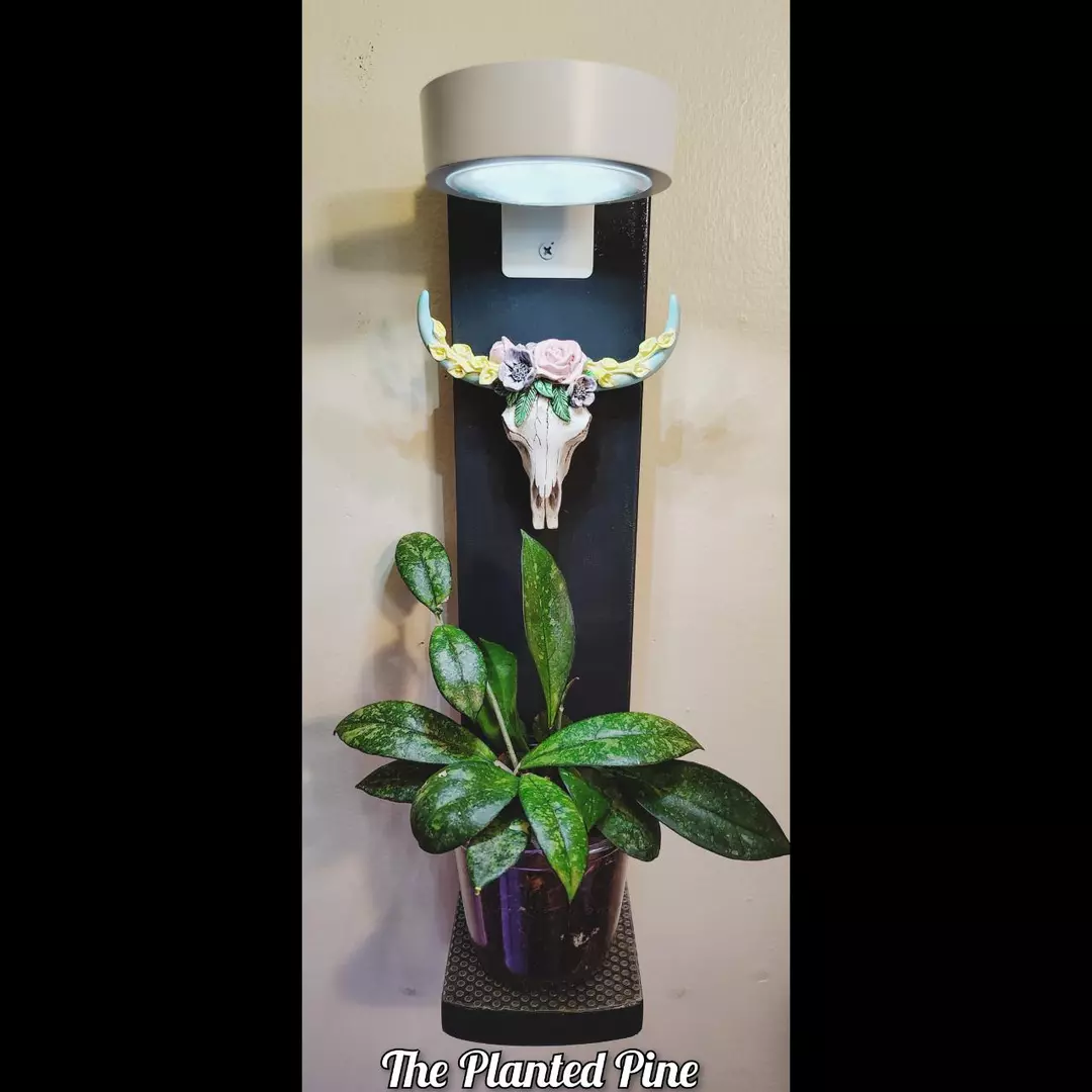 Mini Rose & Lily Bull Skull Grow Light Plant Hanger thumbnail