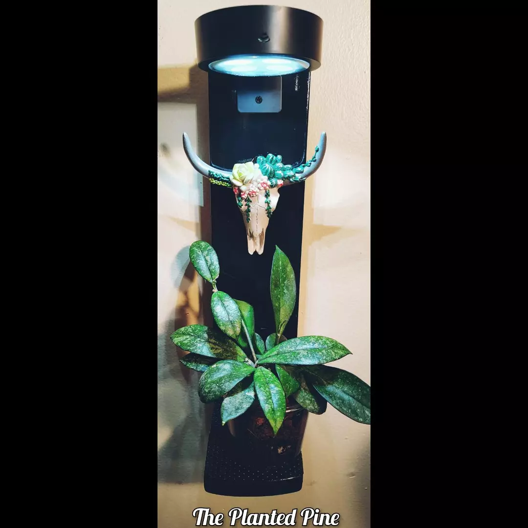 Mini Cactus/Succulent Bull Skull Grow Light Plant Hanger thumbnail