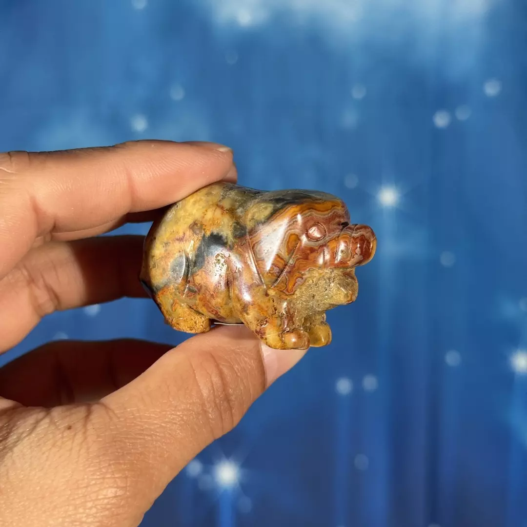 Crazy lace agate pig, 11af thumbnail