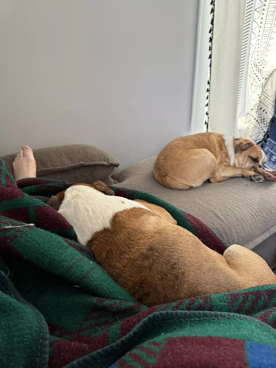 One week hold until another live show to add to box thumbnail