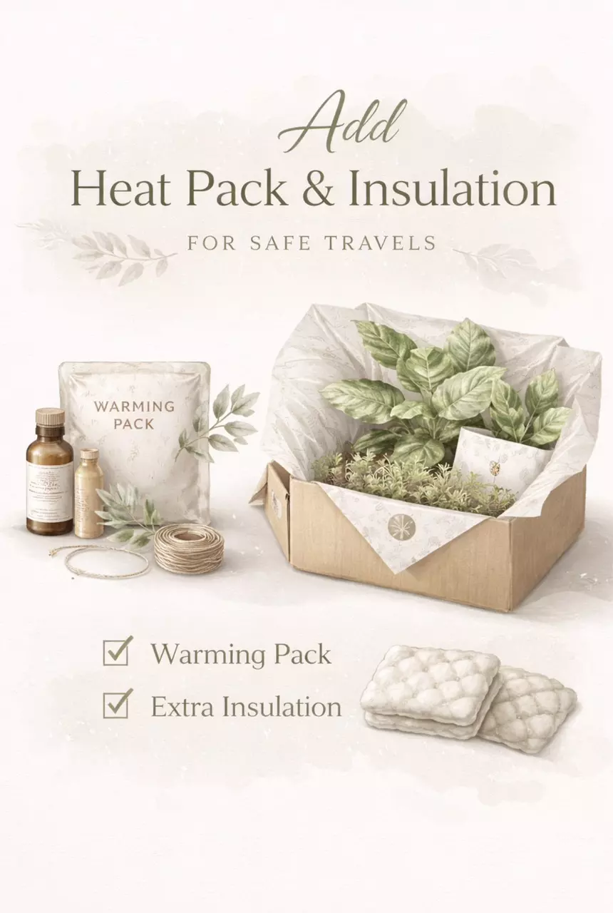 Heat Pack & Insulation thumbnail