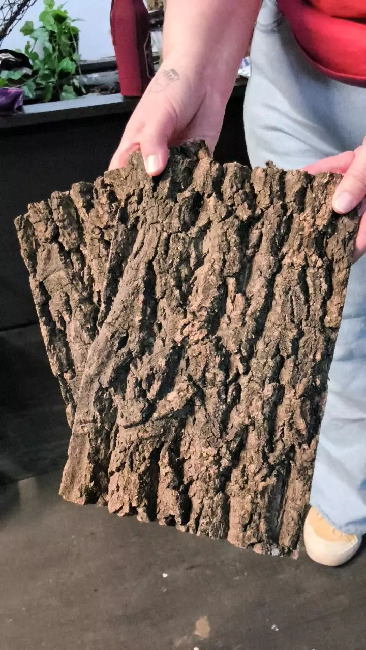 12x8 c0rk flat x2 thumbnail