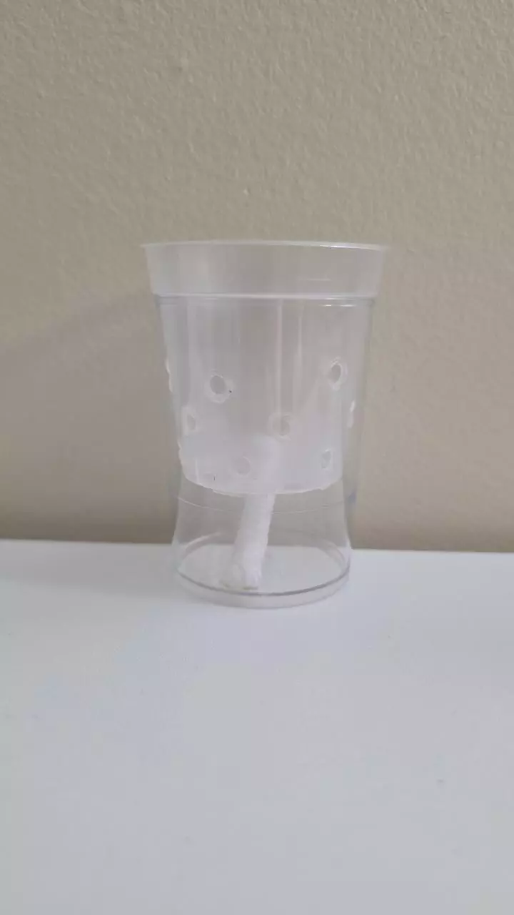 Pup/corm cups 10 pack thumbnail