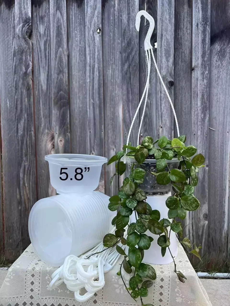 Set of 20 pots 5.8” x 3.5” depth Clear hanging pots thumbnail