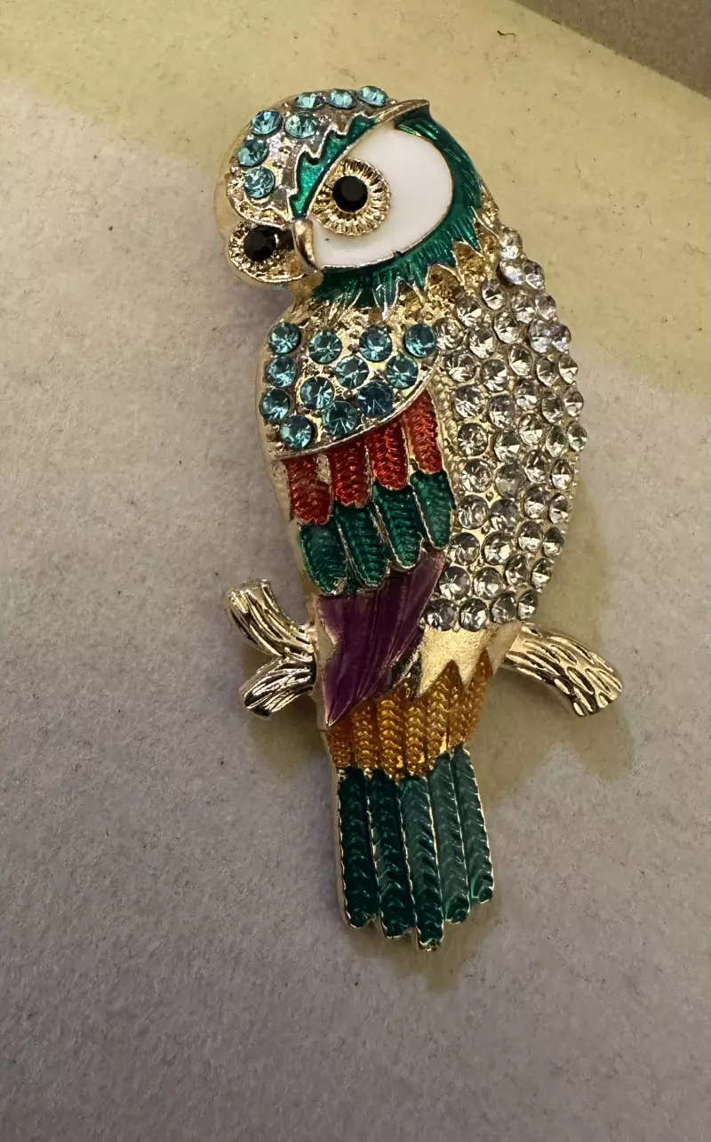 Owl brooch thumbnail