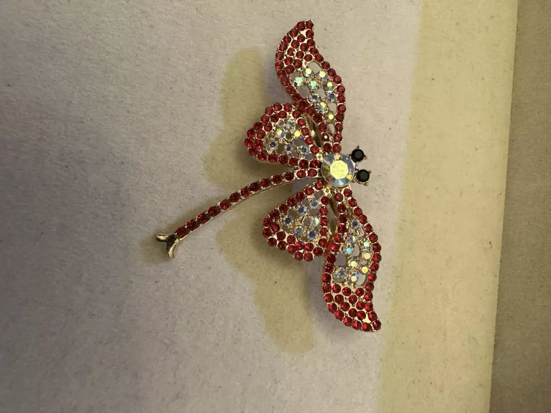 Dragonfly brooch-red thumbnail