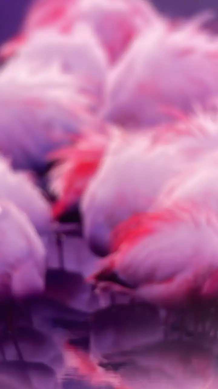 listing with coin us currency thumbnail