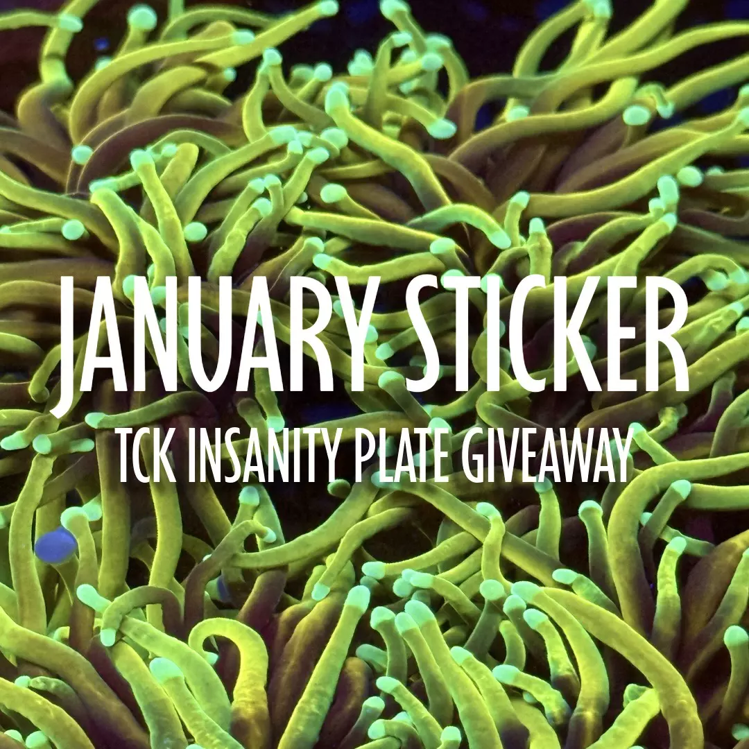 January Sticker 1/12 for the TCK INSANITY PLATE GIVEAWAY thumbnail