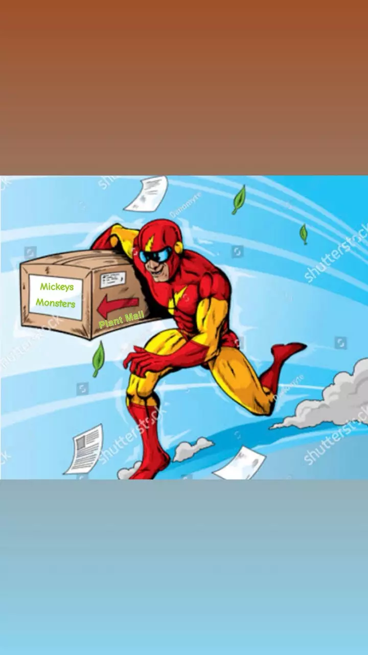 Upgrade Shipping to 2 Day thumbnail