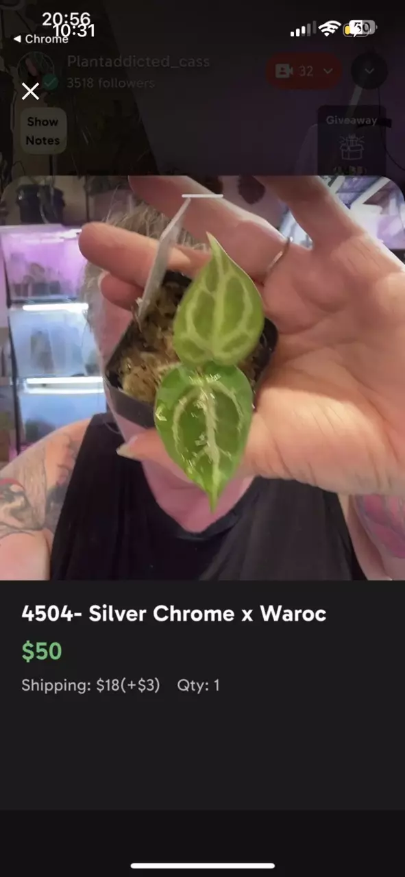 4504- Silver Chrome x Waroc thumbnail