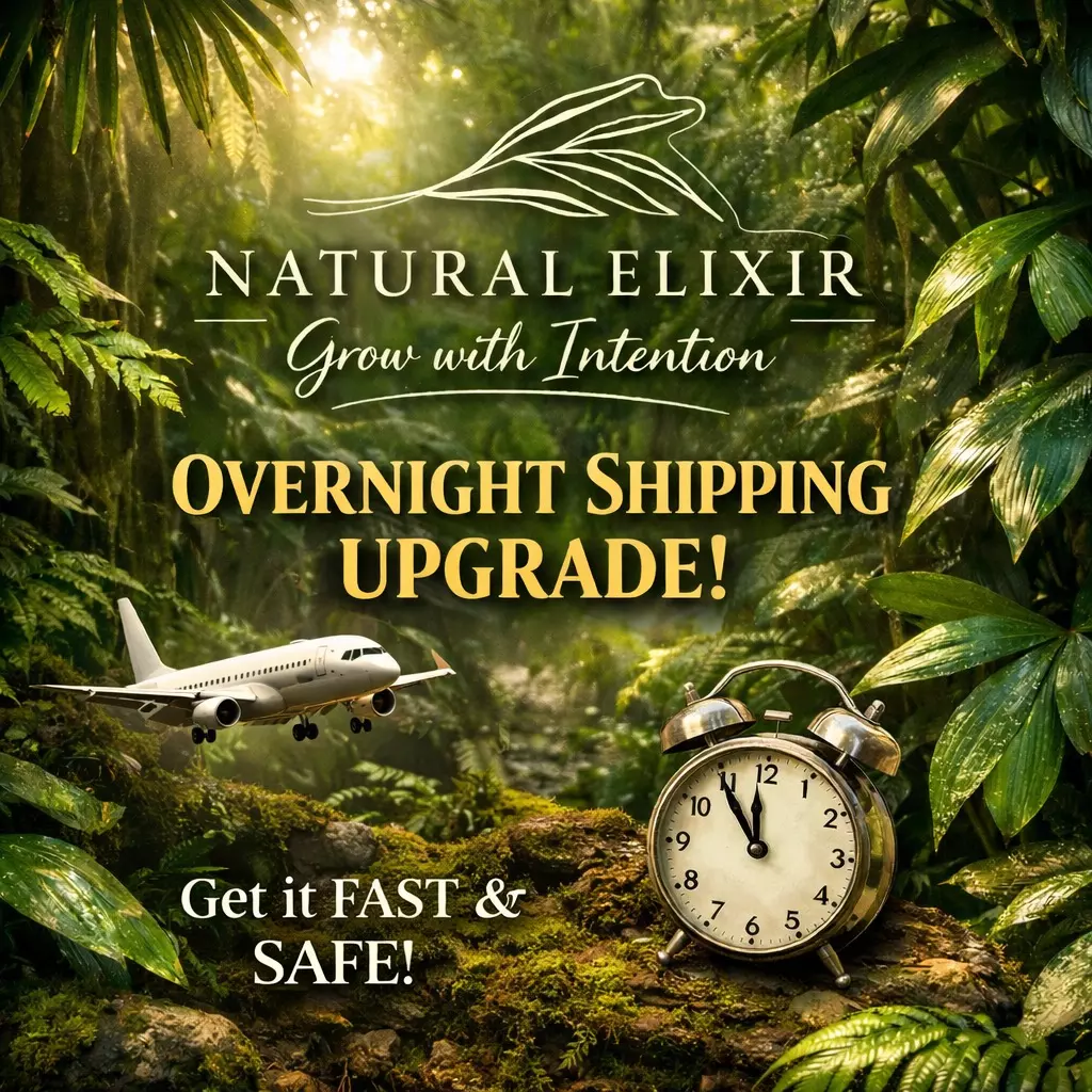 Overnight shipping upgrade thumbnail