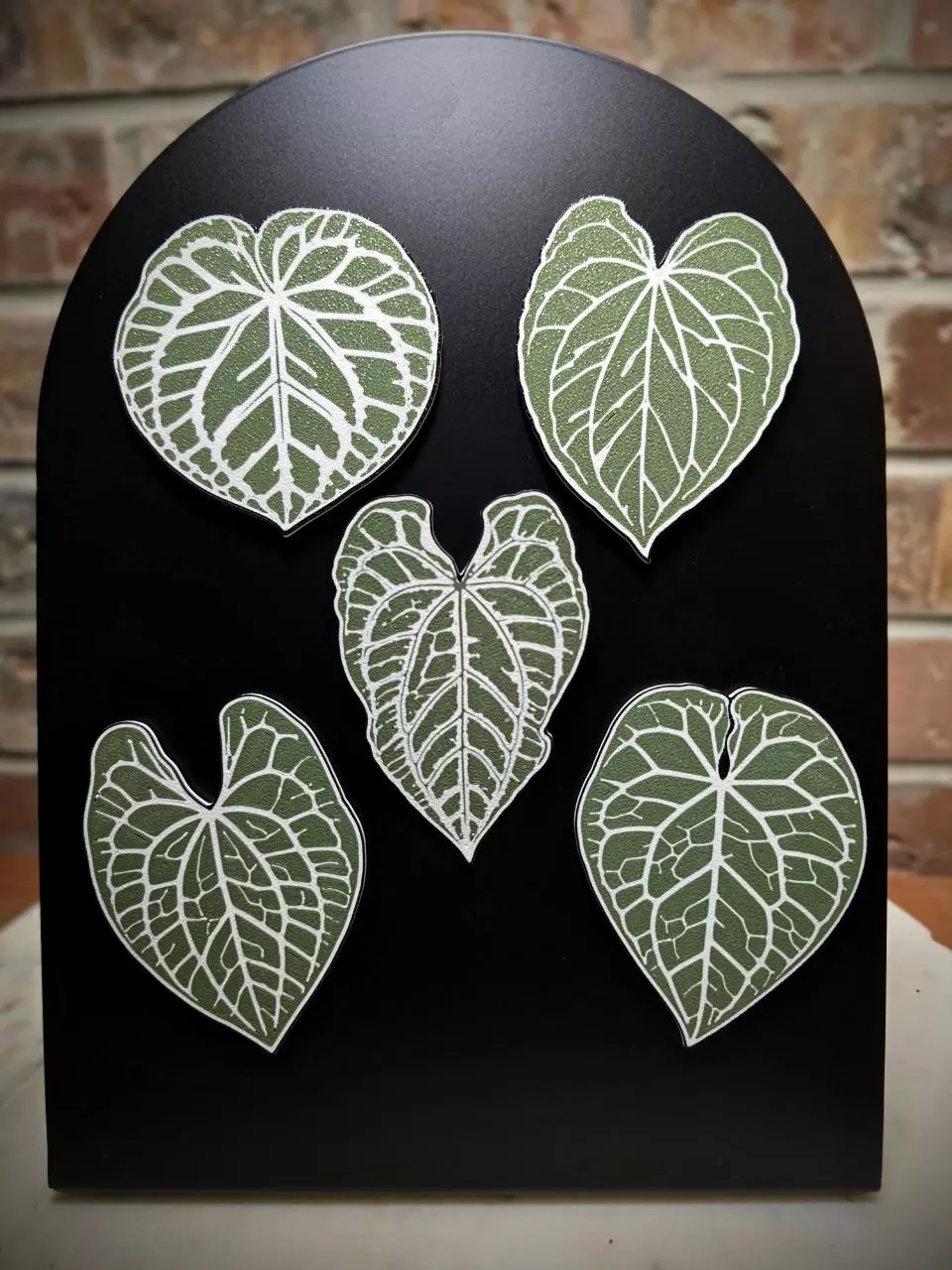 Anthurium Magnet Bundle thumbnail