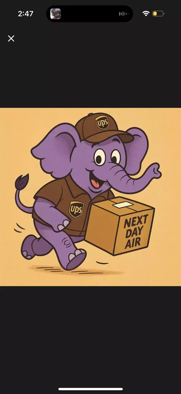 NEXT DAY AIR medium box thumbnail