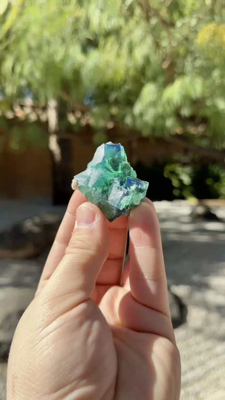 Queen of Green Pocket Fluorite thumbnail