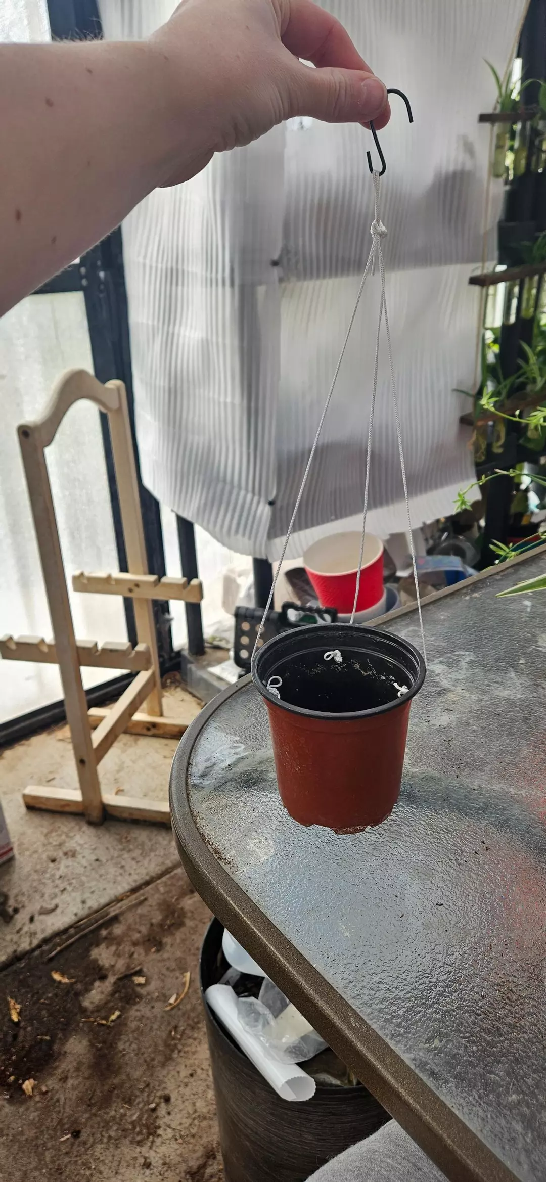 Hanging Pot Transformation thumbnail