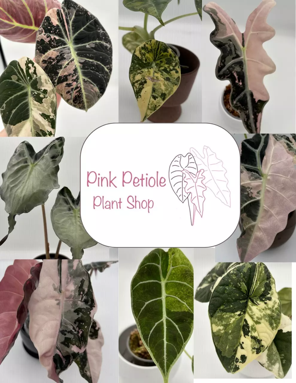 Insulation thumbnail