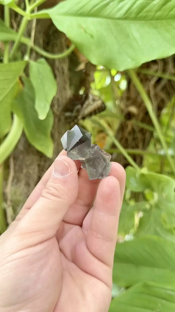 Fairy Holes Pocket Fluorite thumbnail