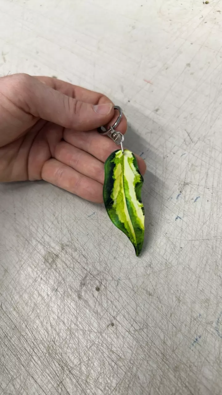 Keychain inner var Hoya thumbnail