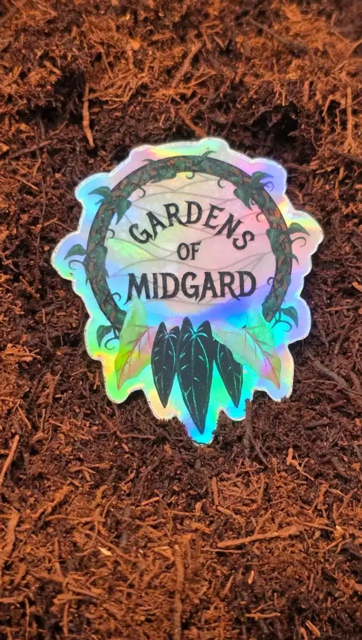 Tree Fern Fiber 15L (4gal) thumbnail