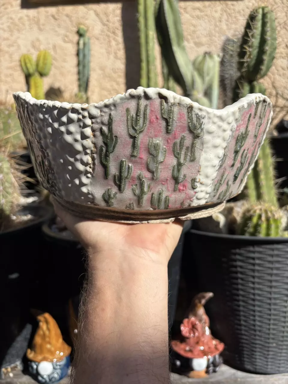 Sonoran Aurora thumbnail