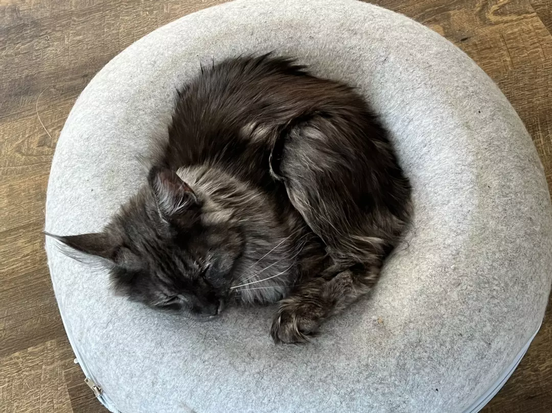 Calendar shipping thumbnail