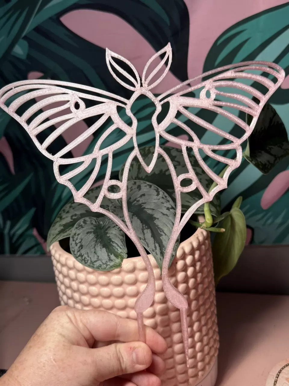 Luna Moth Trellis | 3d printed | PETG | Choose your own colo thumbnail