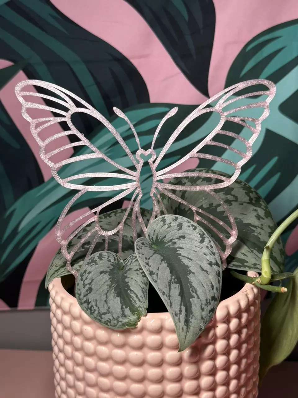 Butterfly Trellis | 3d printed | PETG | Choose your color thumbnail