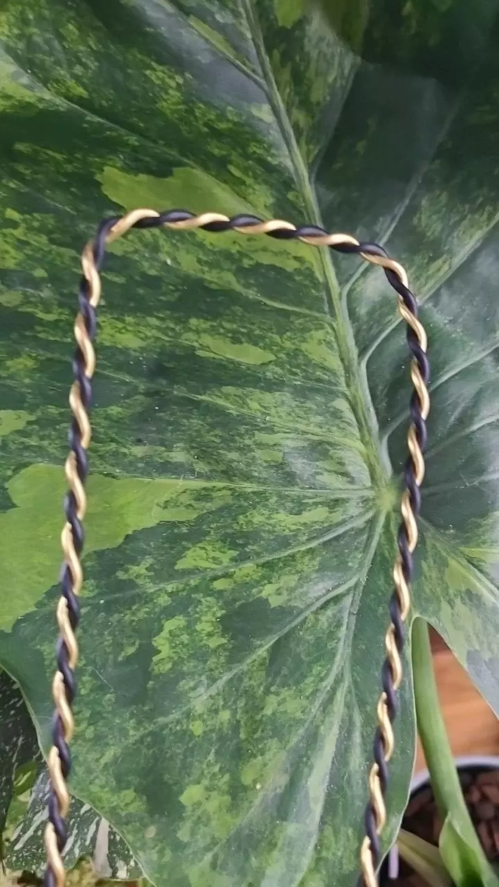 Medium 14G Double Twist Black & Gold Aluminum Plant Trellis (24" total length). thumbnail