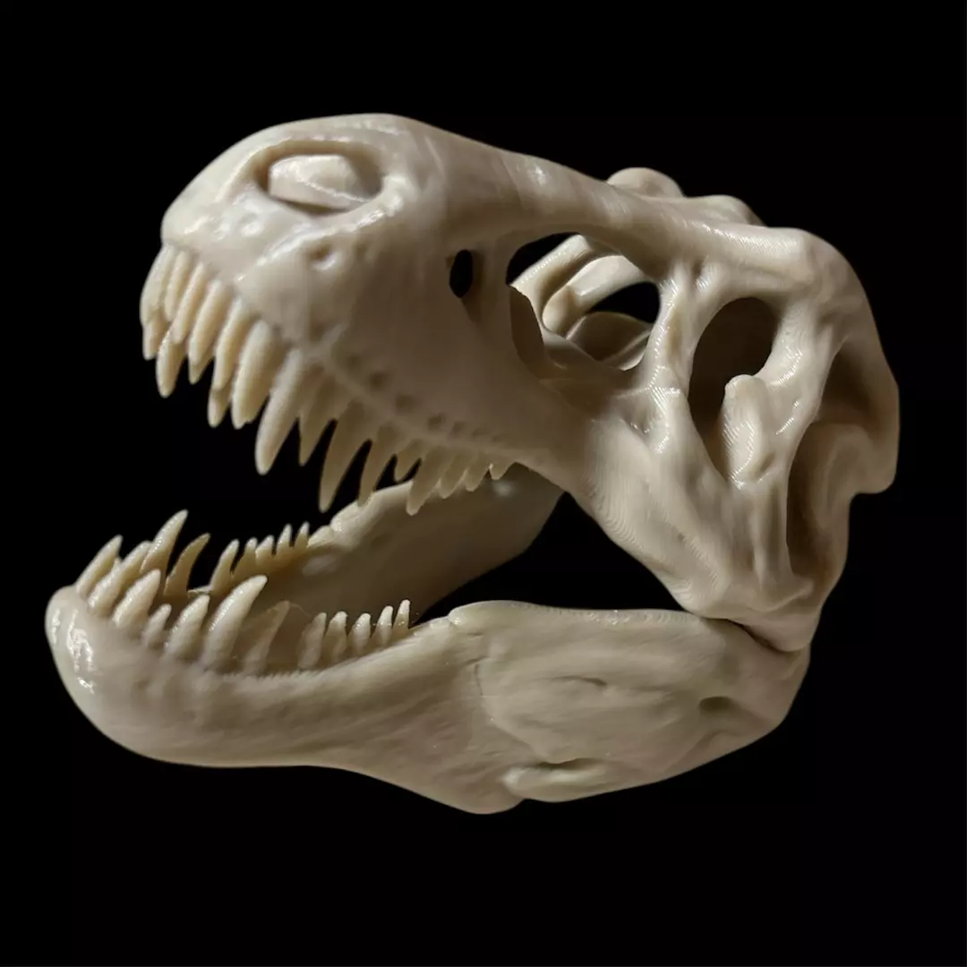 Small T-Rex Skull thumbnail