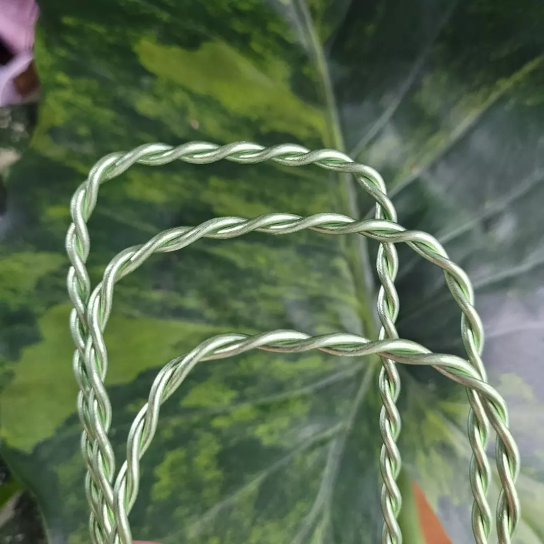 Set of 3 Sizes 14G Green Aluminum Double Twist Plant Trellis thumbnail