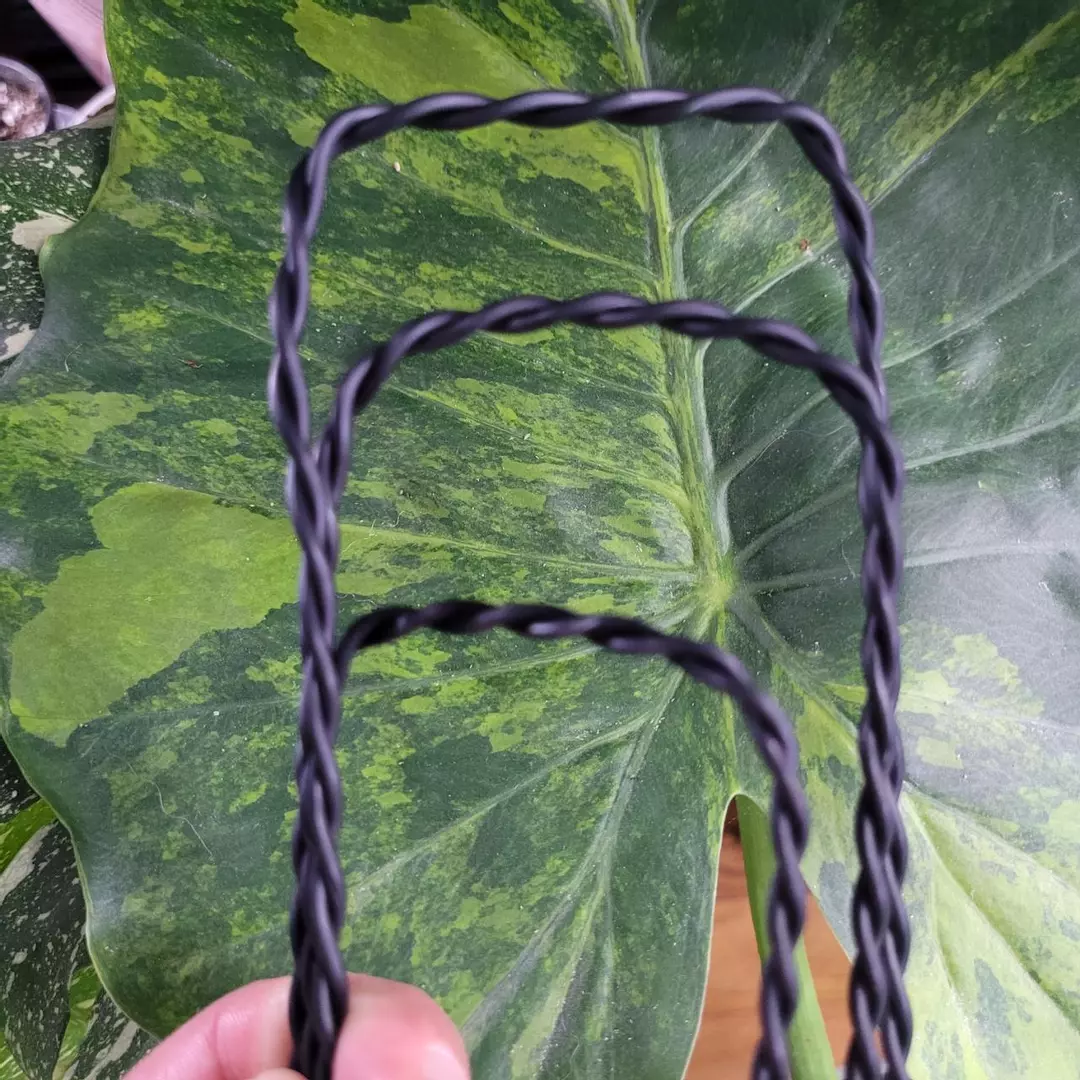 Set of 3 Sizes 14G Black Aluminum Double Twist Plant Trellis thumbnail