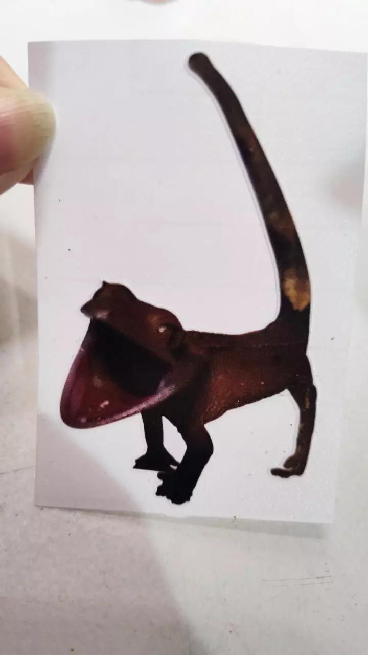 Spicy baby sticker thumbnail