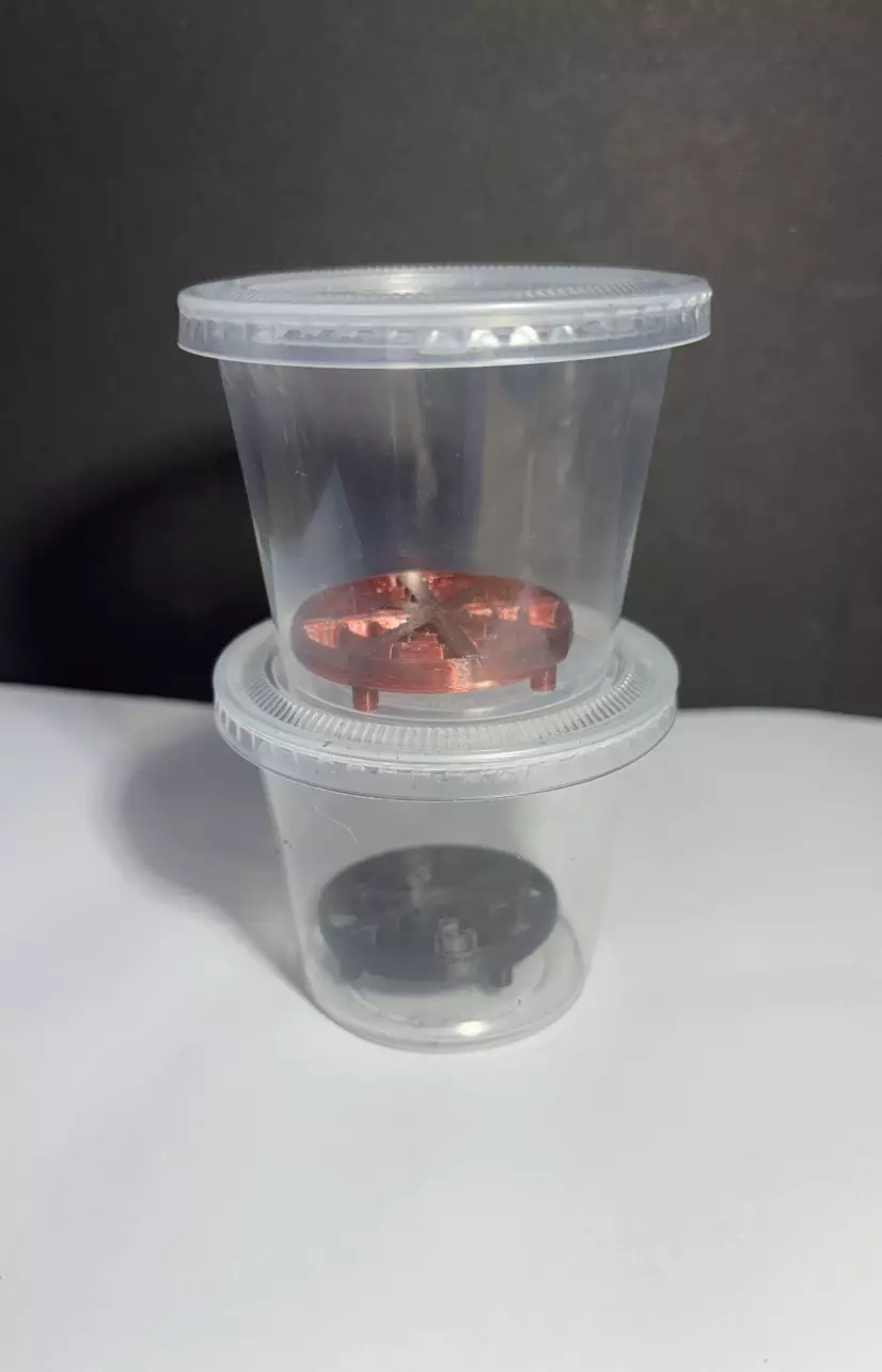 Corm Sprouting Riser Pad  -  20 pack - Assorted Colors thumbnail