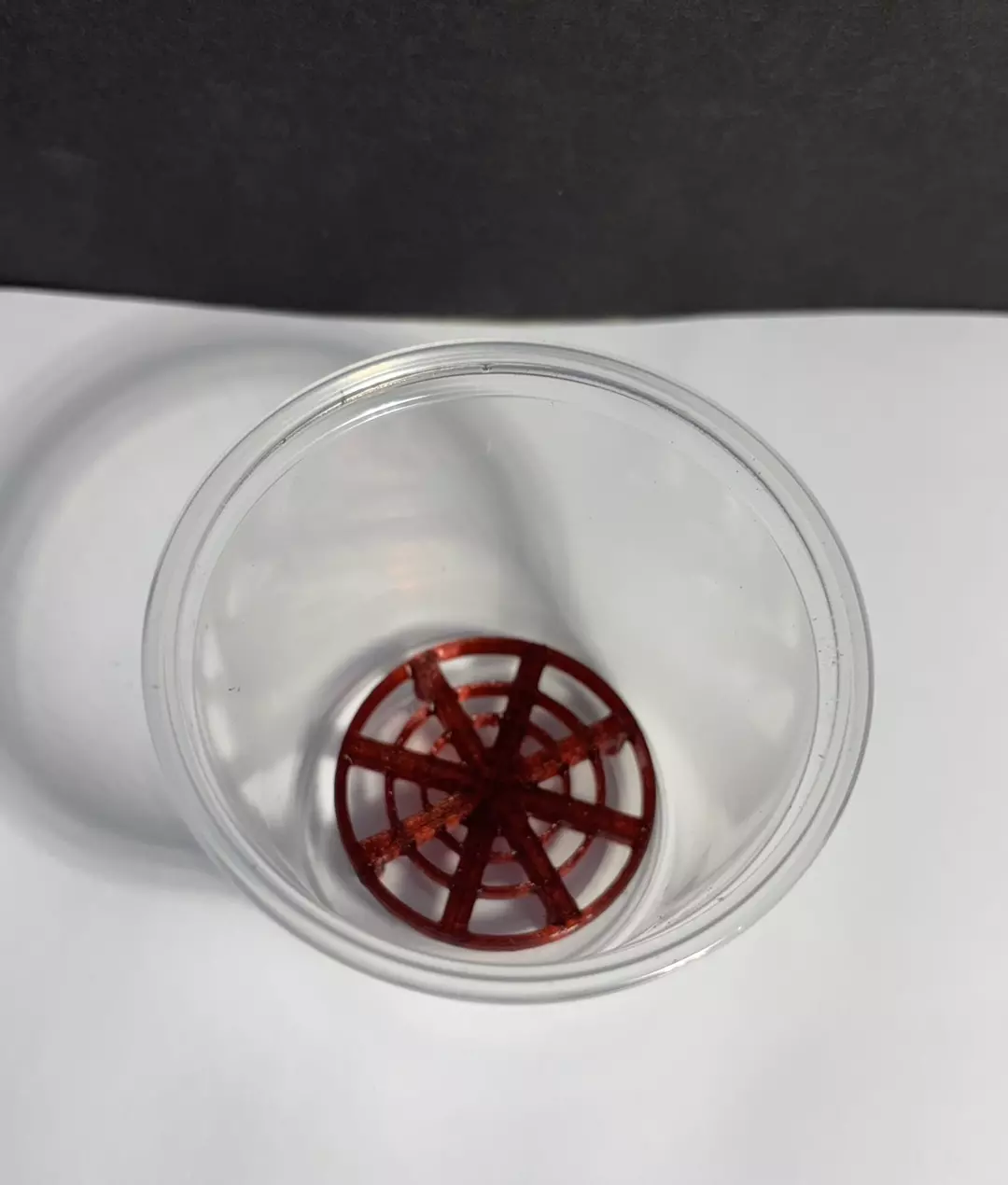 Corm Sprouting Riser Pad with lidded 5oz cup-  10 pack - Assorted Colors thumbnail