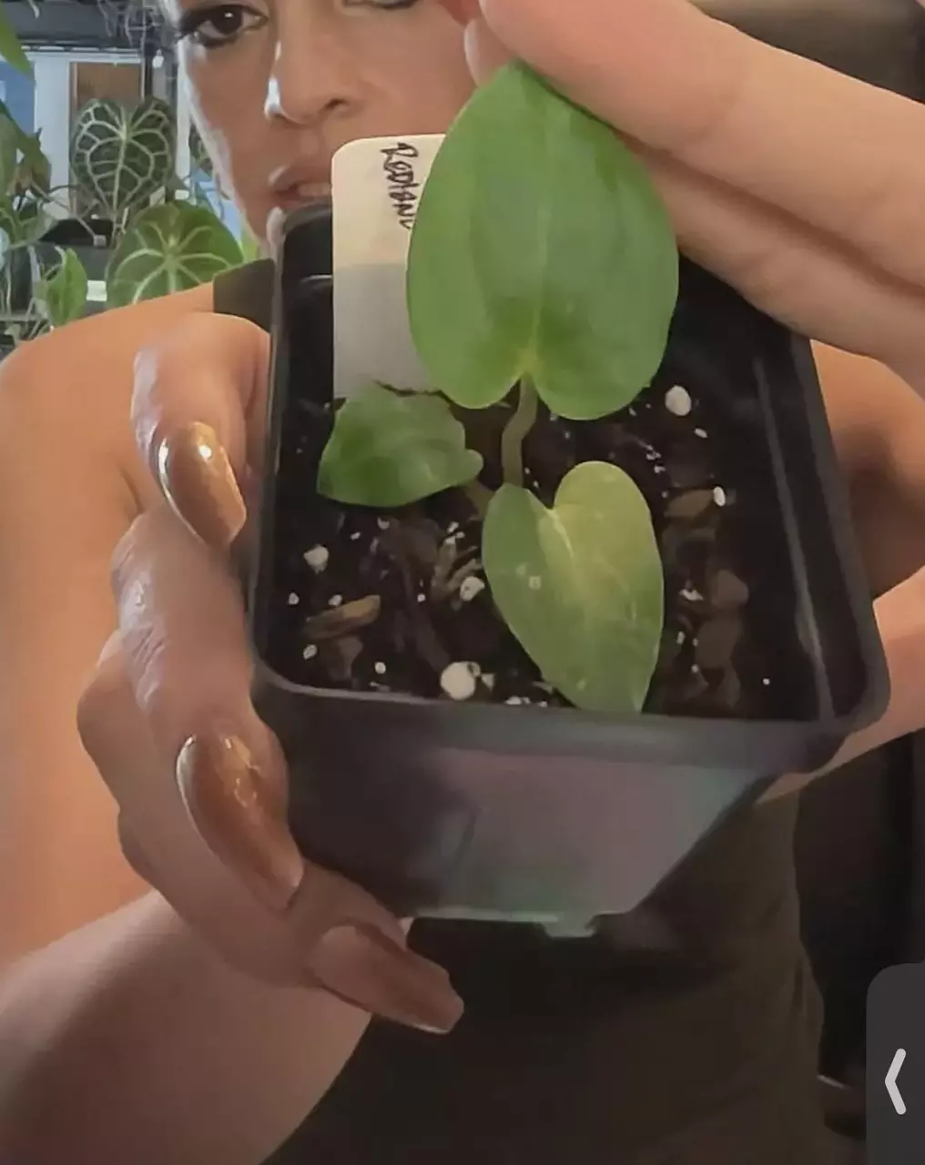 Zara x Dark Crystal Mag thumbnail