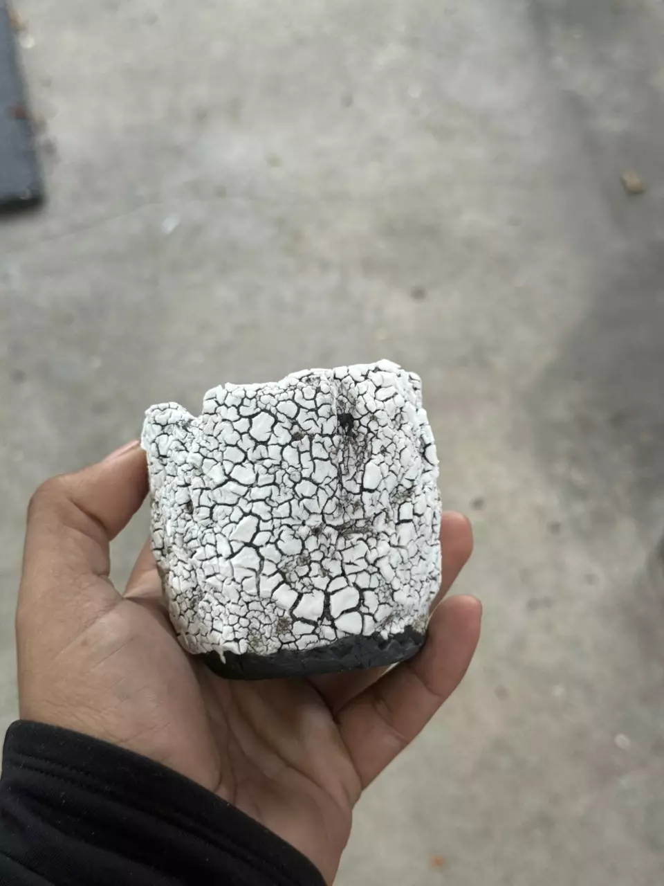 Coconut 3x3 thumbnail