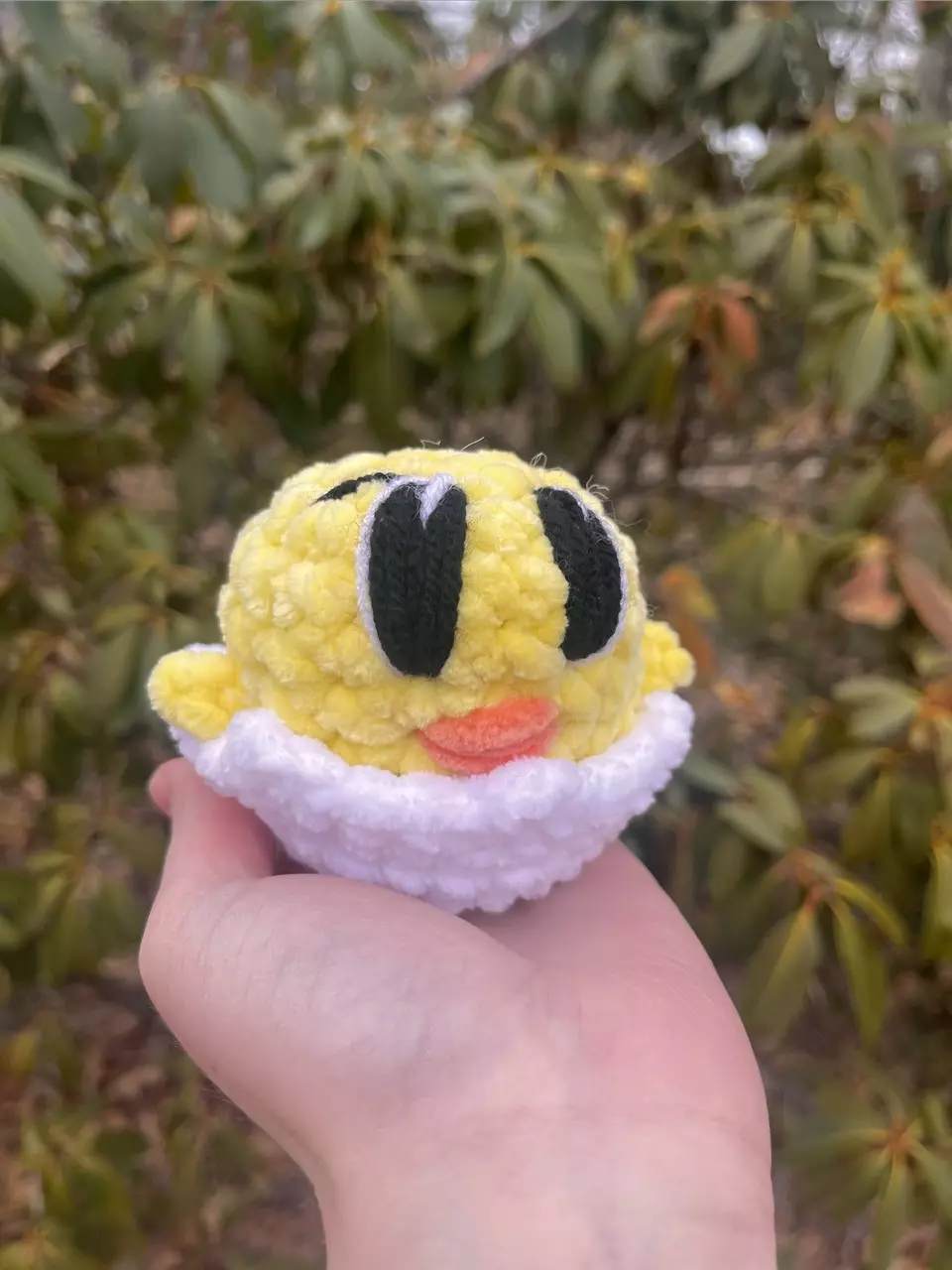 ✨Small Crochet Hatching Chicken✨ thumbnail