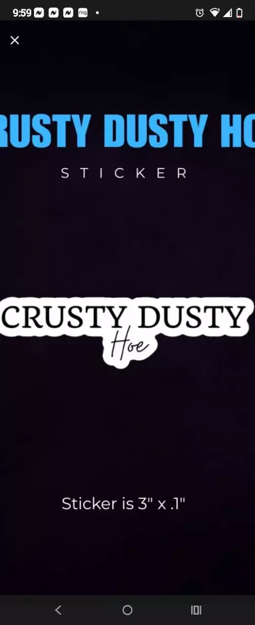 Small leaf cutting bundle ( 7-10) cuts/ Rosita silver , wg Russia thumbnail