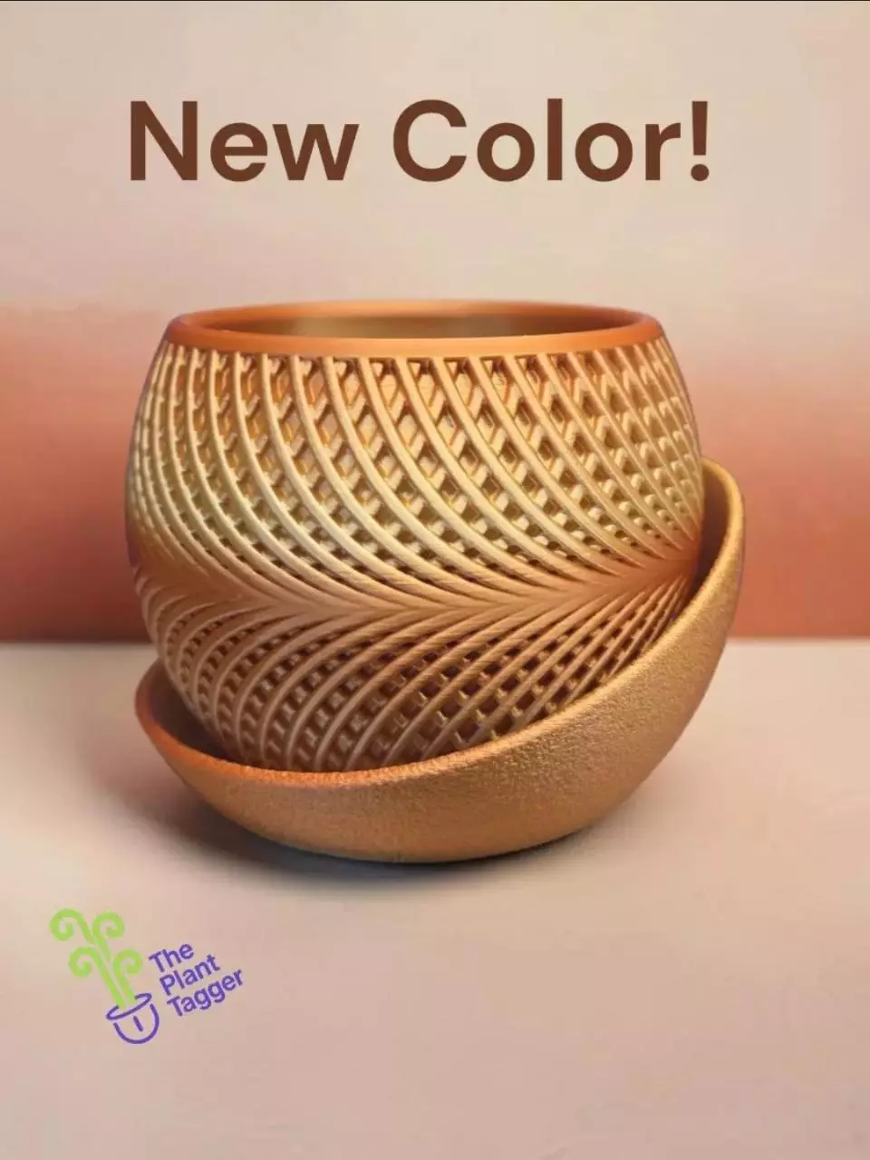 Tight Belt Carmel Latte thumbnail