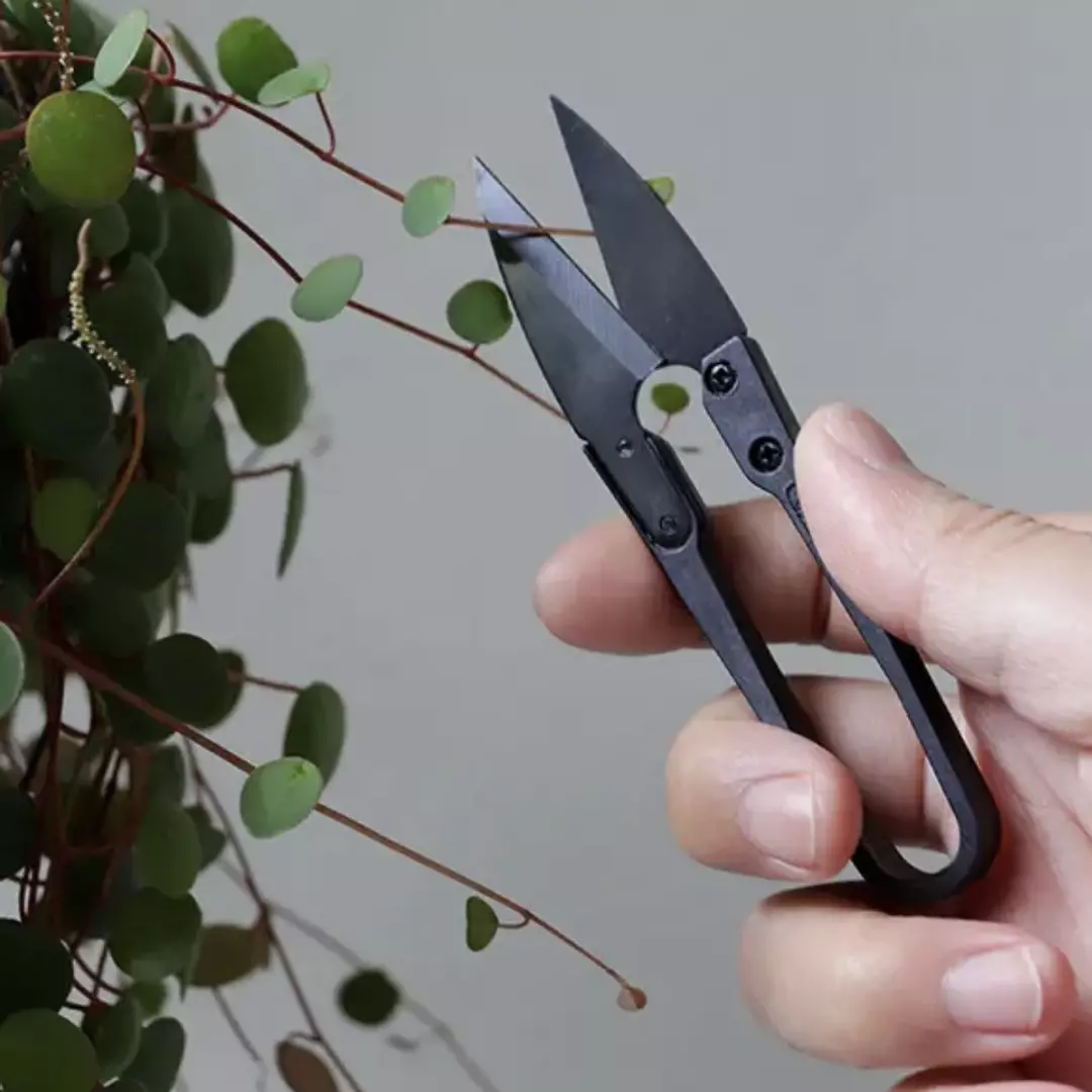 ADD ON ONLY: Botanopia “The Good Snips” Plant Shears thumbnail