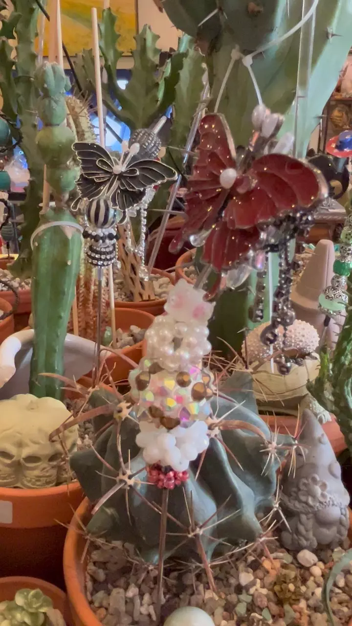 PBP 12" pot be priti ( plant stake, pot pal) thumbnail