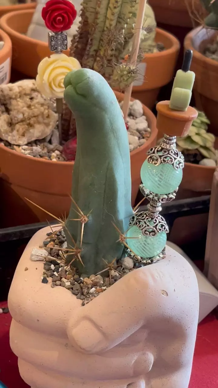 PBP 986 Pot be Priti (plant stake, pot pal) thumbnail