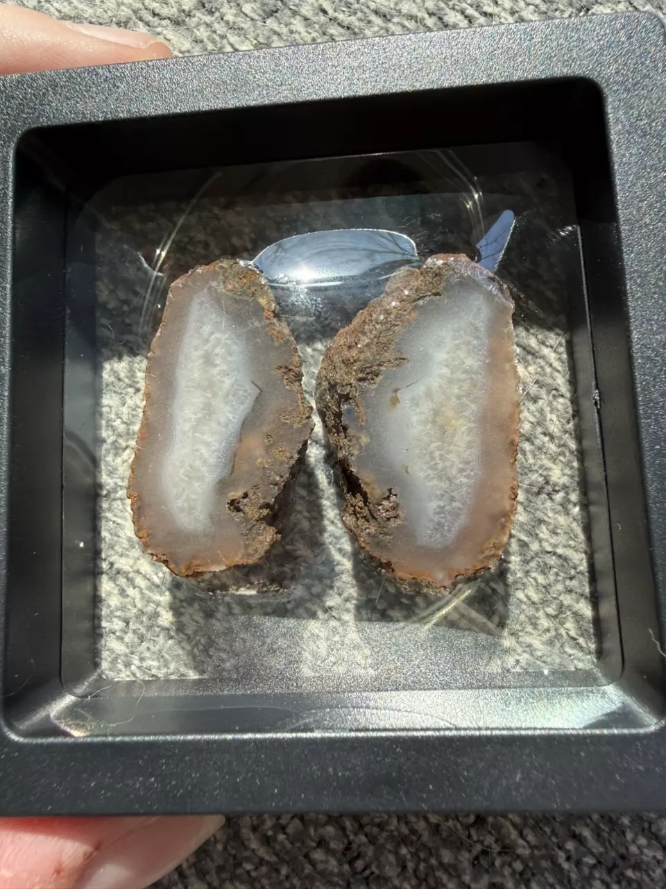 Cut agate pair - unpolished thumbnail